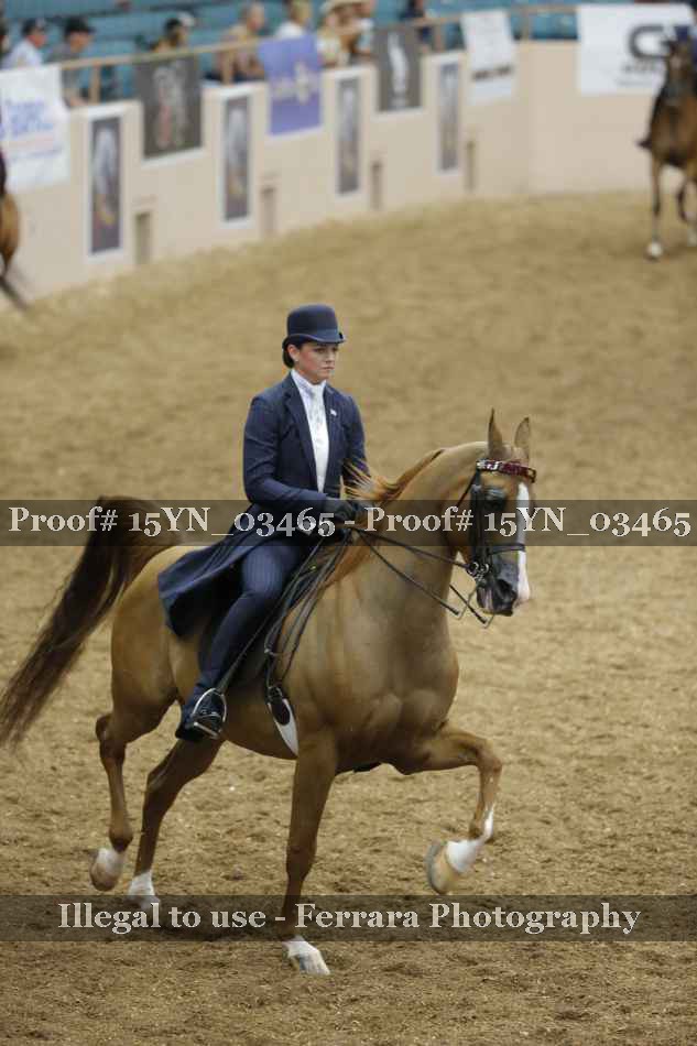 Proof 15YN_03465
