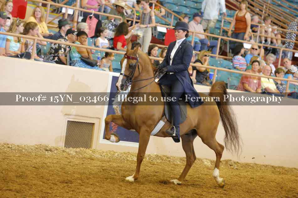 Proof 15YN_03466