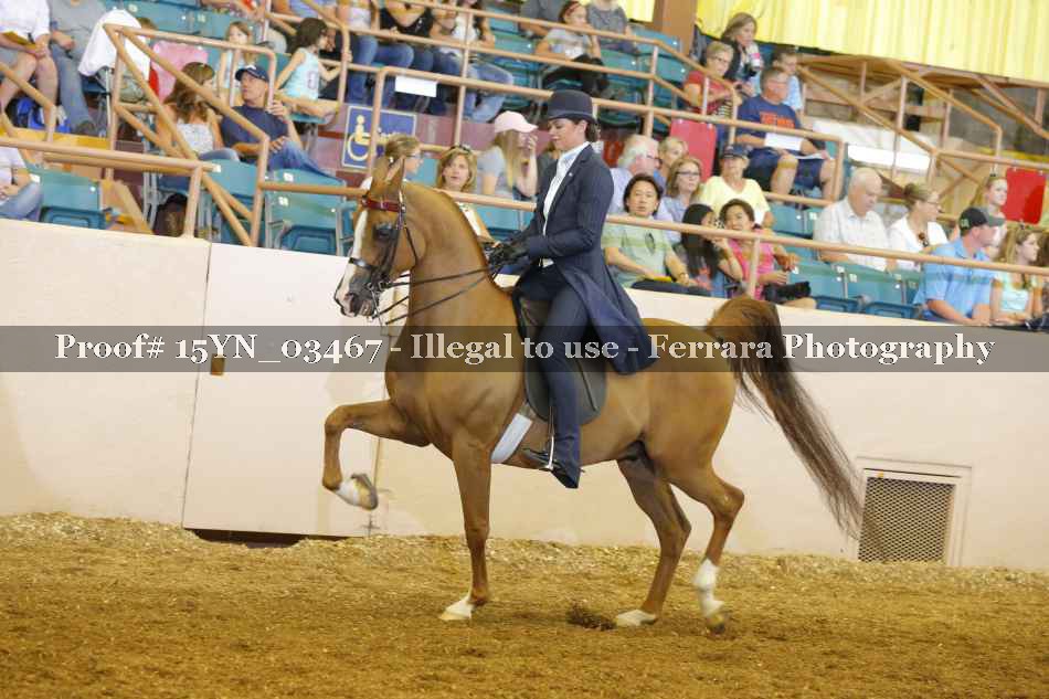Proof 15YN_03467