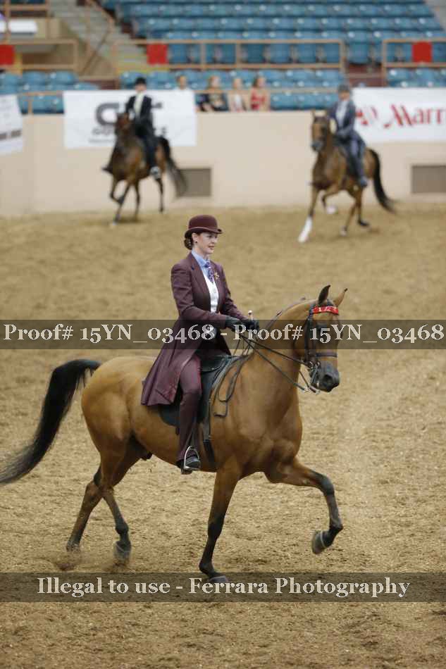 Proof 15YN_03468