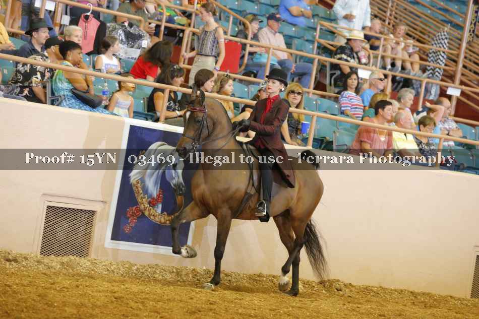 Proof 15YN_03469
