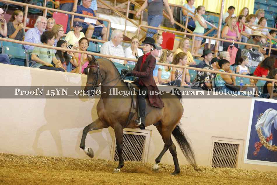 Proof 15YN_03470