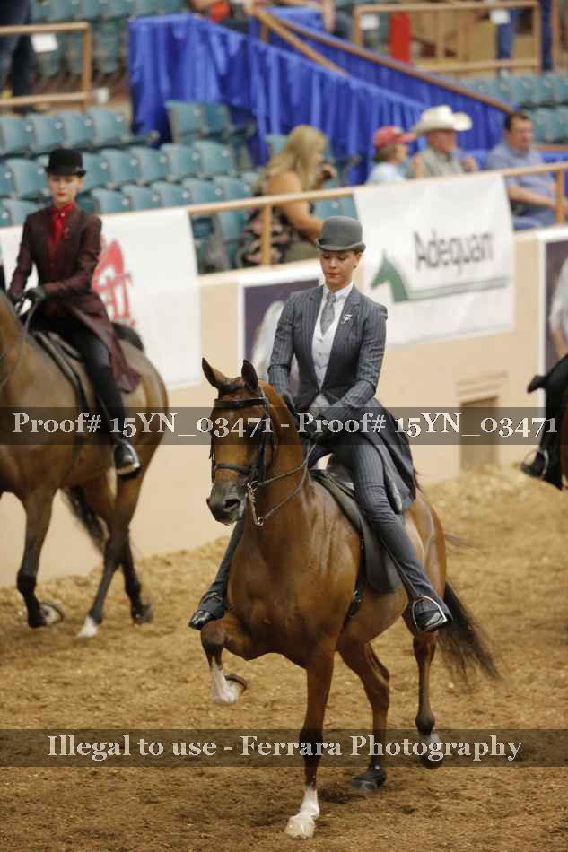 Proof 15YN_03471