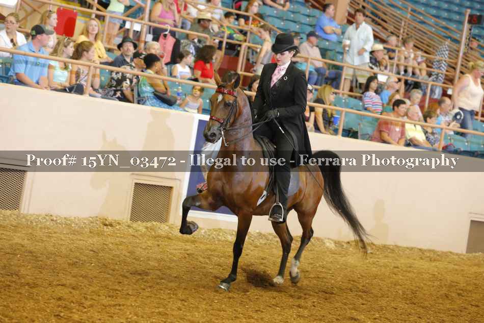 Proof 15YN_03472