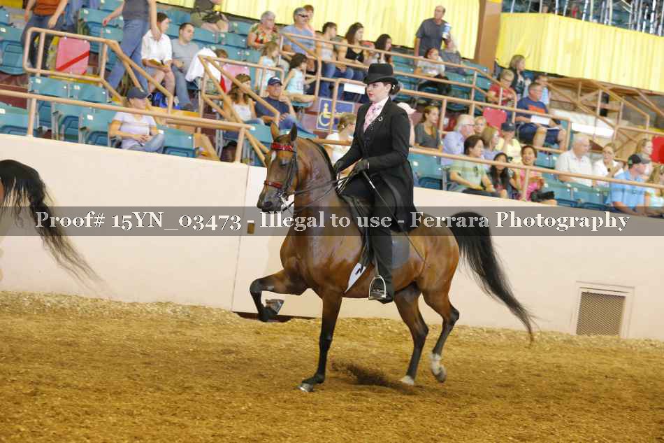 Proof 15YN_03473