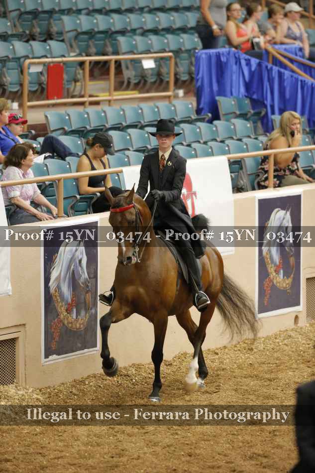 Proof 15YN_03474