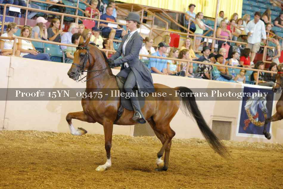Proof 15YN_03475