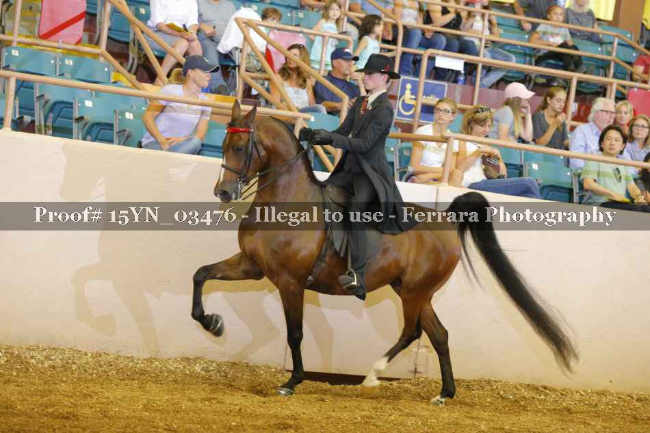 Proof 15YN_03476