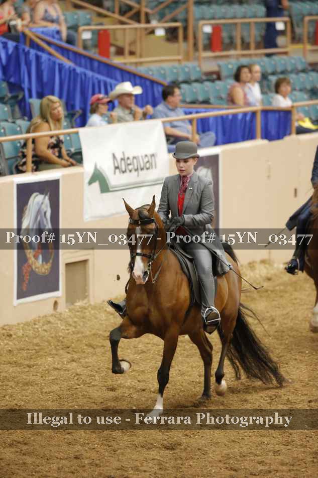 Proof 15YN_03477