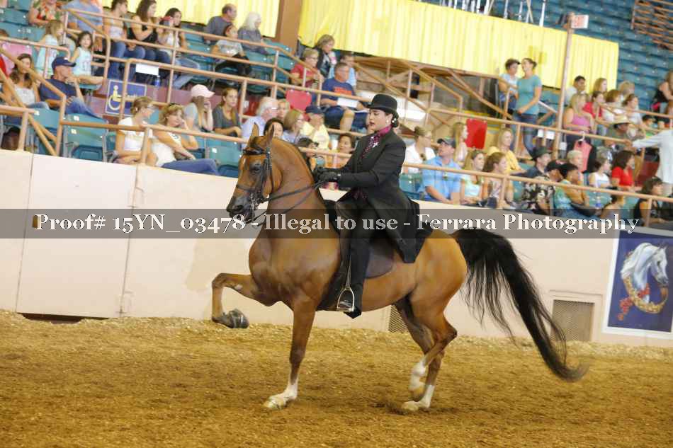 Proof 15YN_03478
