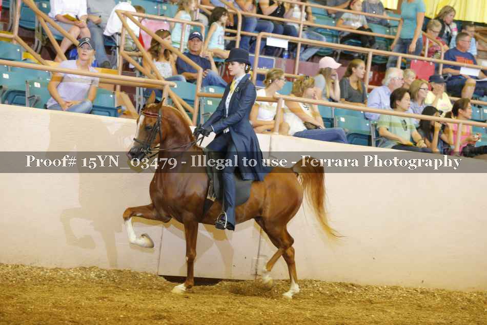 Proof 15YN_03479