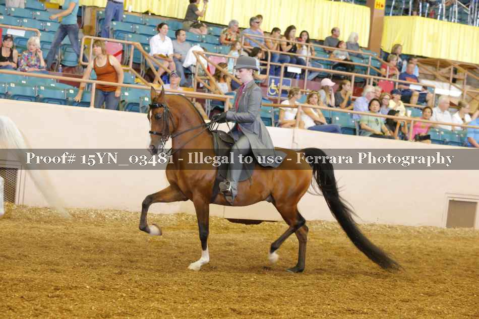 Proof 15YN_03481