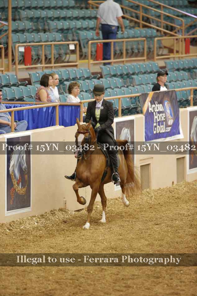 Proof 15YN_03482