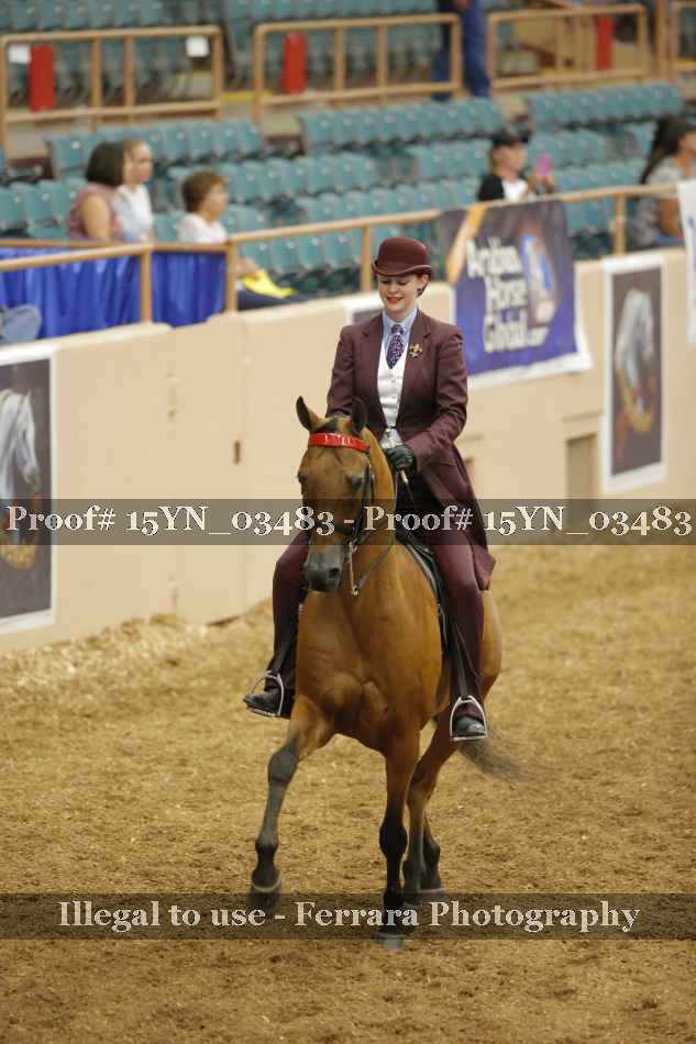 Proof 15YN_03483