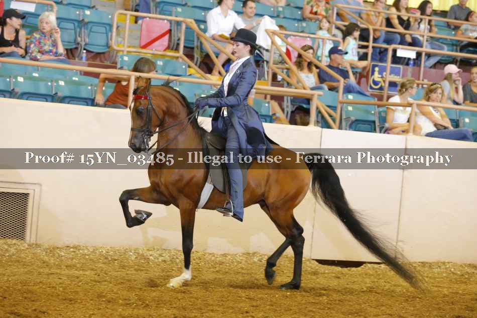 Proof 15YN_03485