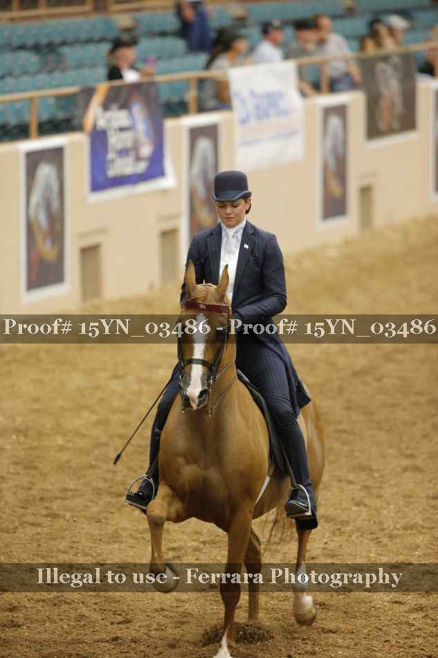 Proof 15YN_03486