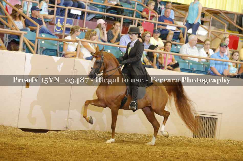 Proof 15YN_03487