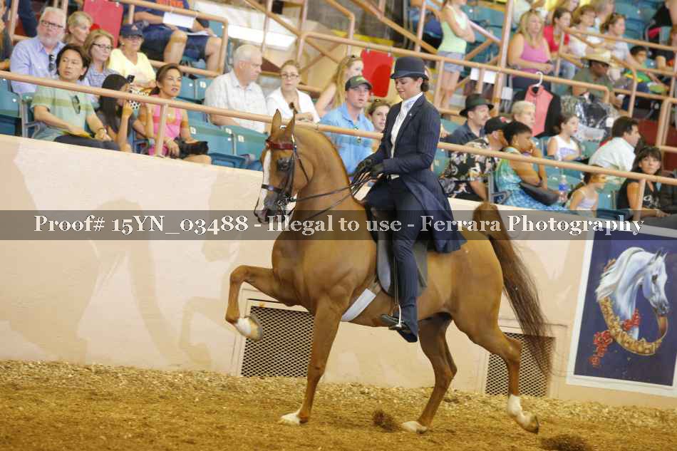 Proof 15YN_03488