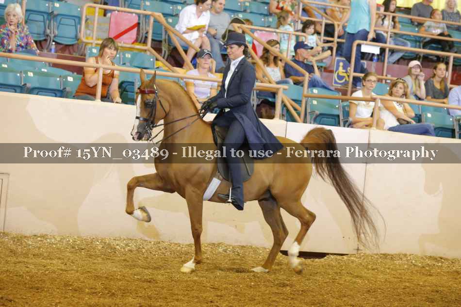Proof 15YN_03489