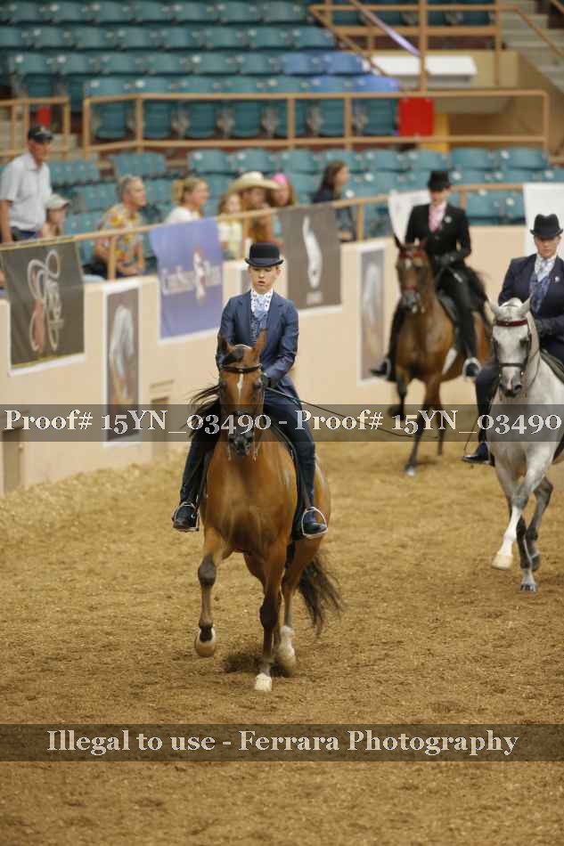 Proof 15YN_03490