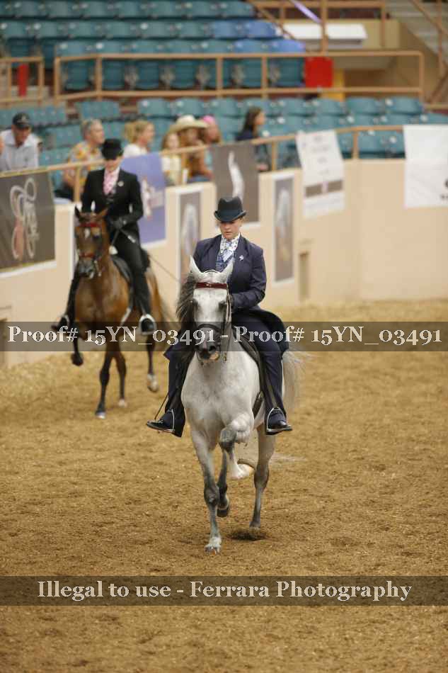 Proof 15YN_03491