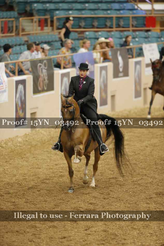 Proof 15YN_03492