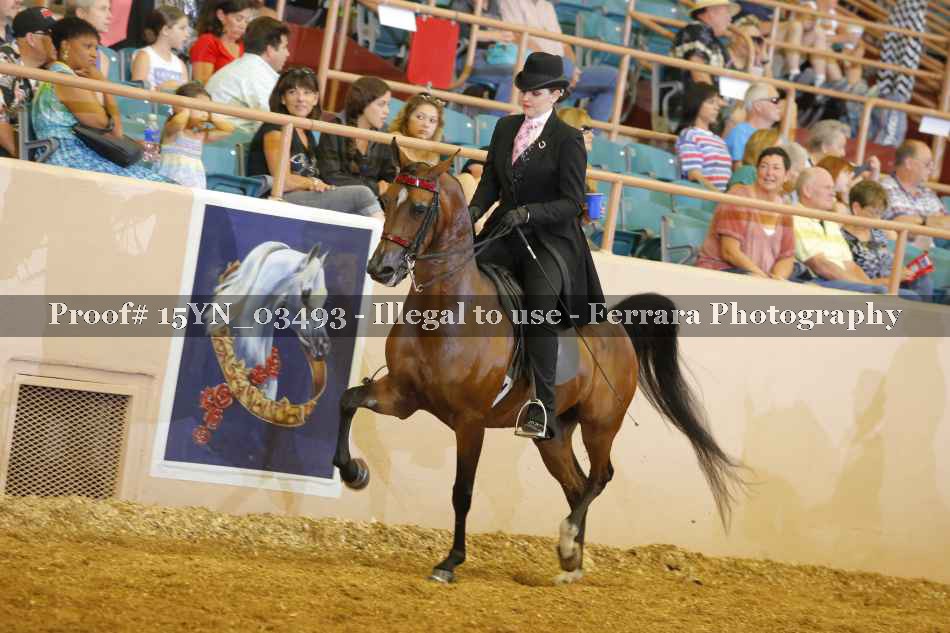 Proof 15YN_03493