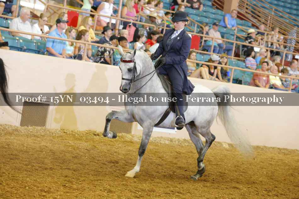 Proof 15YN_03494