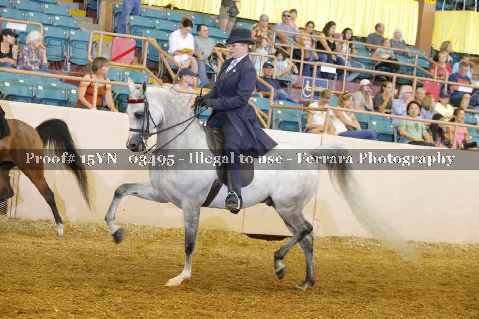 Proof 15YN_03495