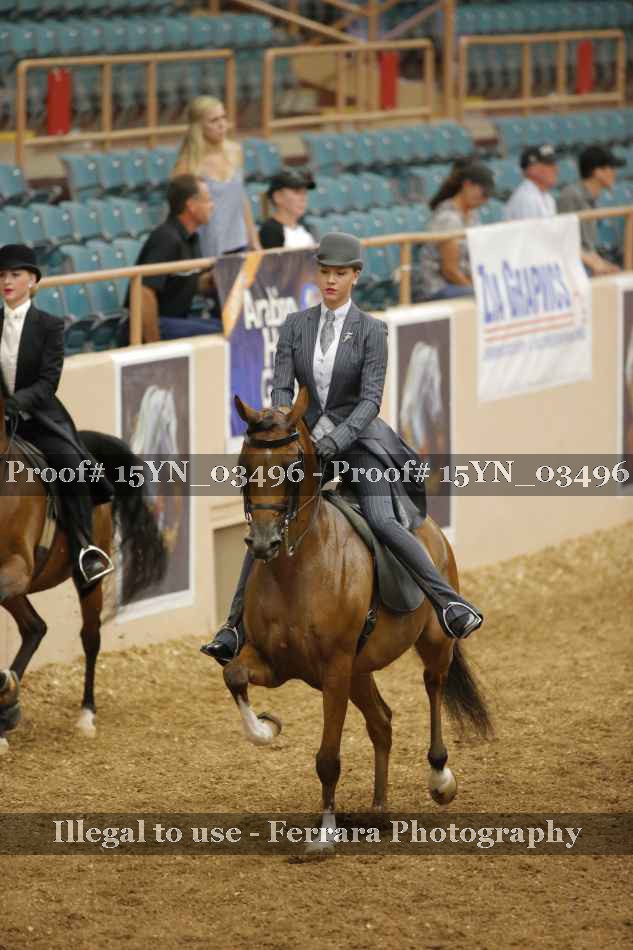 Proof 15YN_03496
