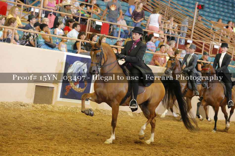 Proof 15YN_03497