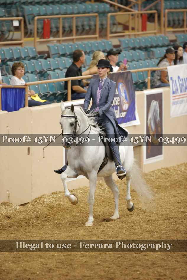 Proof 15YN_03499