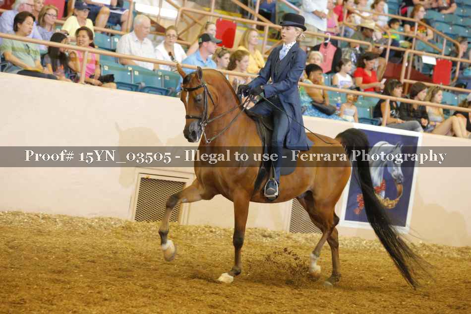 Proof 15YN_03505