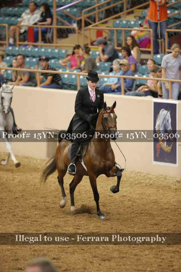 Proof 15YN_03506