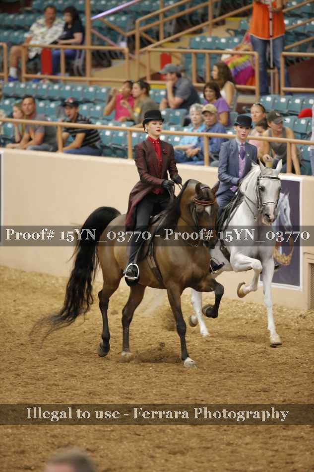 Proof 15YN_03770