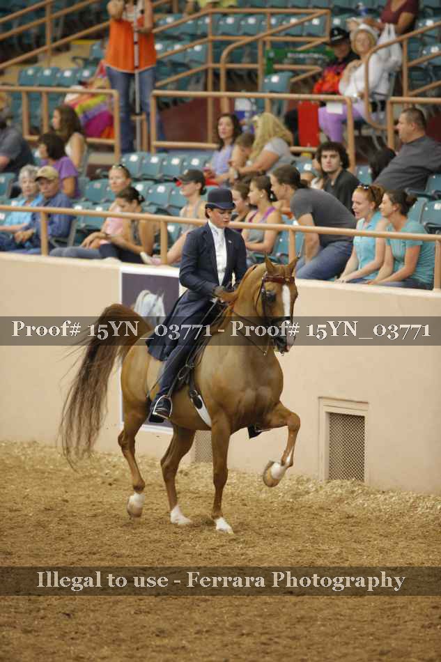 Proof 15YN_03771
