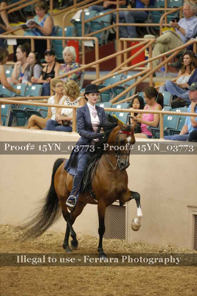 Proof 15YN_03773