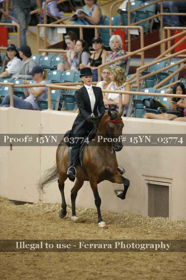 Proof 15YN_03774