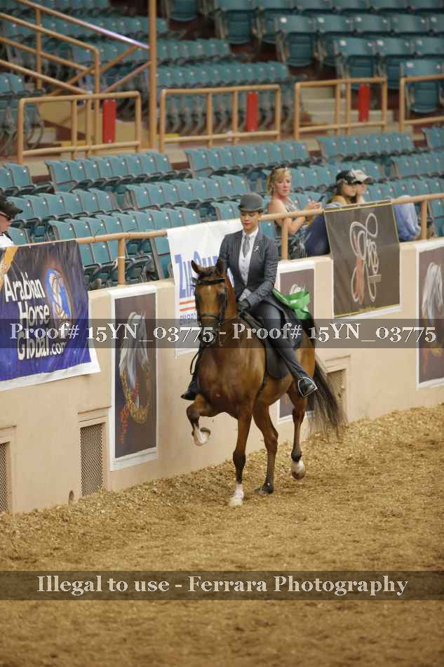 Proof 15YN_03775