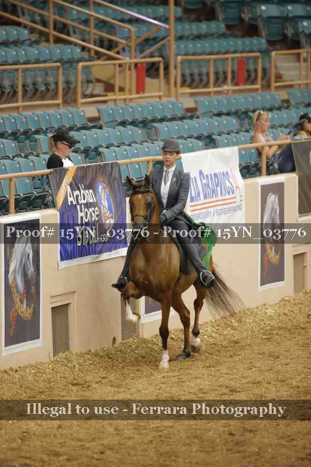 Proof 15YN_03776