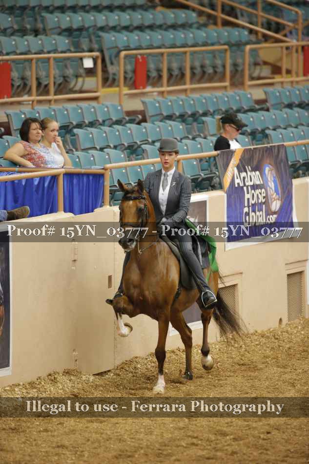 Proof 15YN_03777