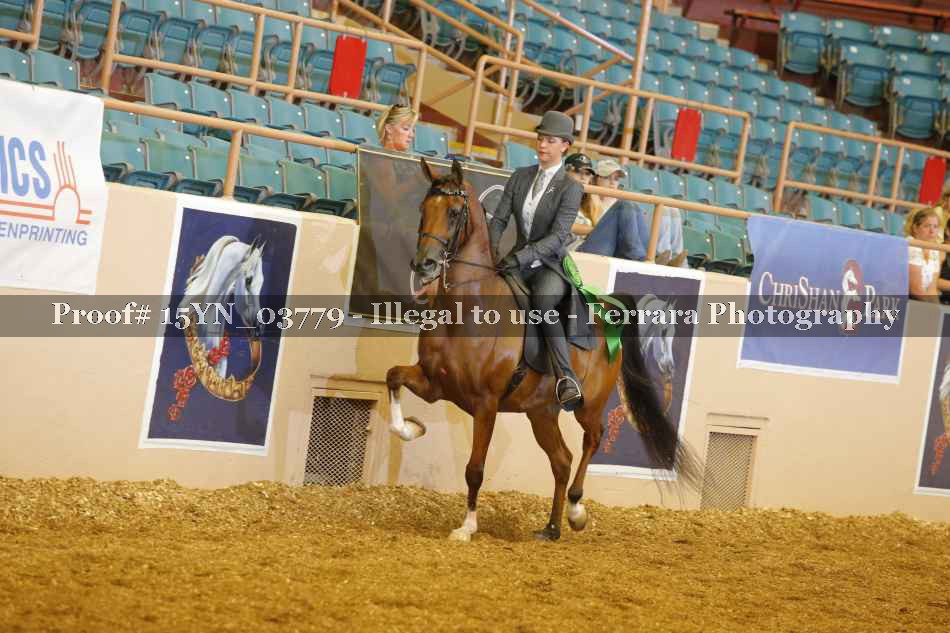 Proof 15YN_03779