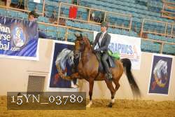 15YN_03780 proof