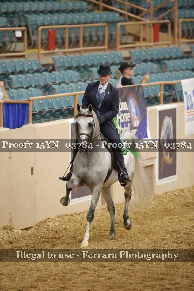 Proof 15YN_03784