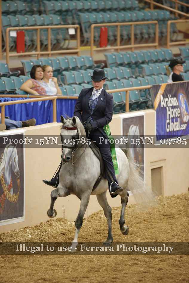 Proof 15YN_03785