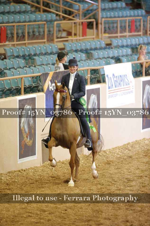 Proof 15YN_03786
