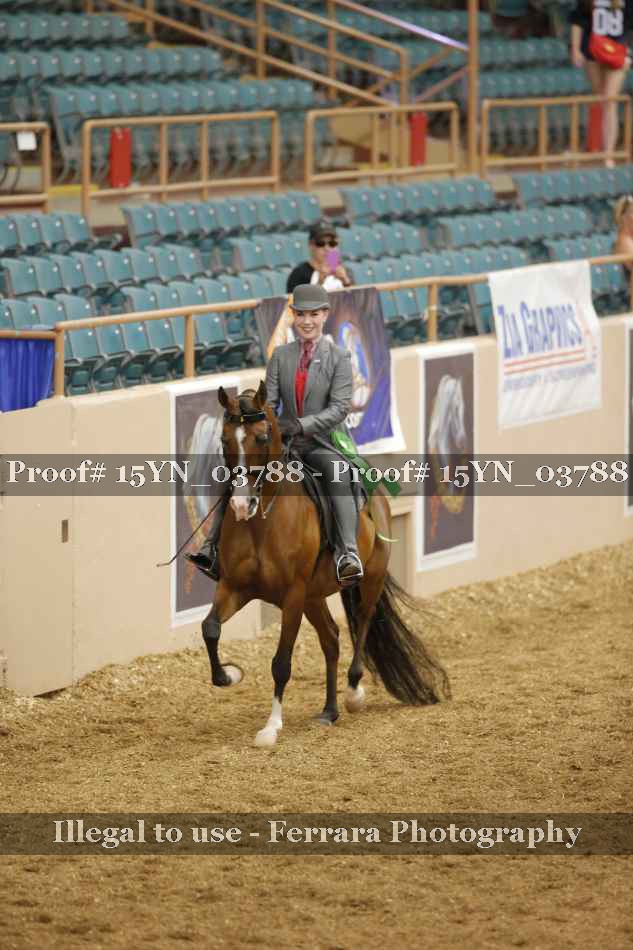 Proof 15YN_03788