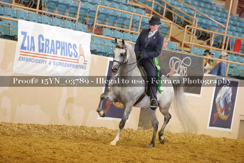 Proof 15YN_03789