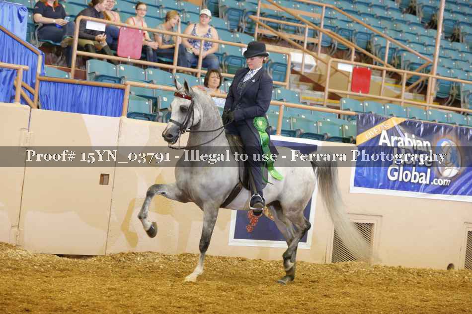 Proof 15YN_03791