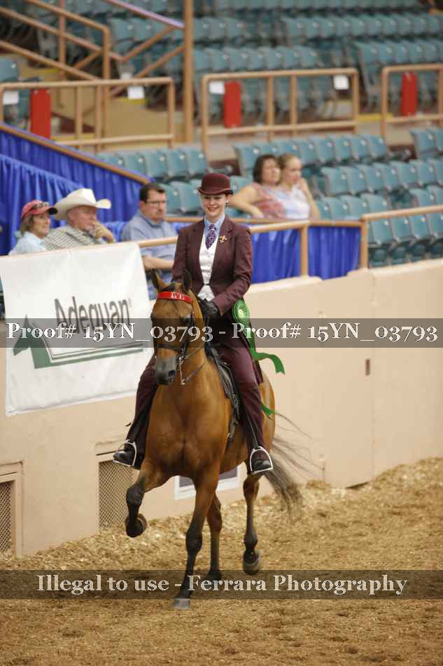 Proof 15YN_03793